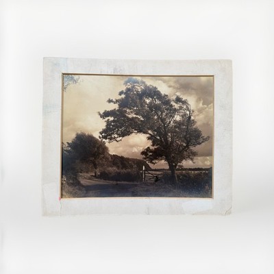 Ken Bingham 1955 Vintage Original Sepia Landscape Photo Print Signed Inscribed