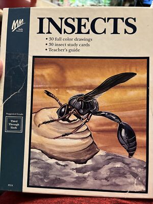 Insects Media materials Full Color Drawings Study Cards And Teacher Guide 1989