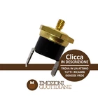 Genuine Didiesse Frog Parts: 95 Machine Thermostat Frog FRO19