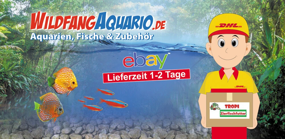 Bild 2 von 2