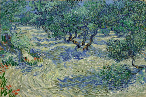 Vincent van Gogh Hand-painted Oil Painting Olive Grove10 12*18in