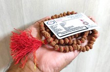 9 cuentas Mukhi Rudraksha Mala Durga Shakti Mala 109 origen Java