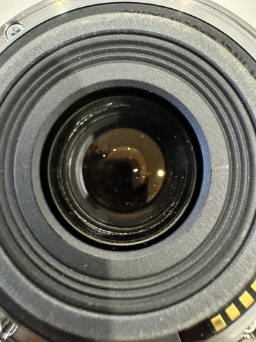 Canon EF-S60mm F2.8 Macro USM Lens - Foto 3 di 5