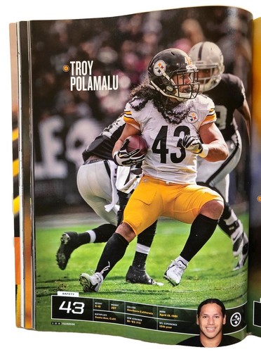 Pittsburgh Steelers 2014 Yearbook Heinz Field Ben Rothlesberger Troy Polamalu - Picture 12 of 12