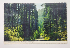 Vintage Postcard Pacific Northwest Fir-lined Highways of Washington and Oregon