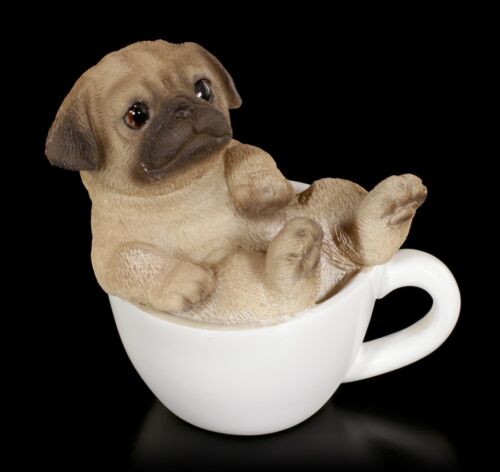 Dogs Figurine Mini - Pug Puppy IN Cup - Cute Animal Baby Decorative Gift - Picture 1 of 5
