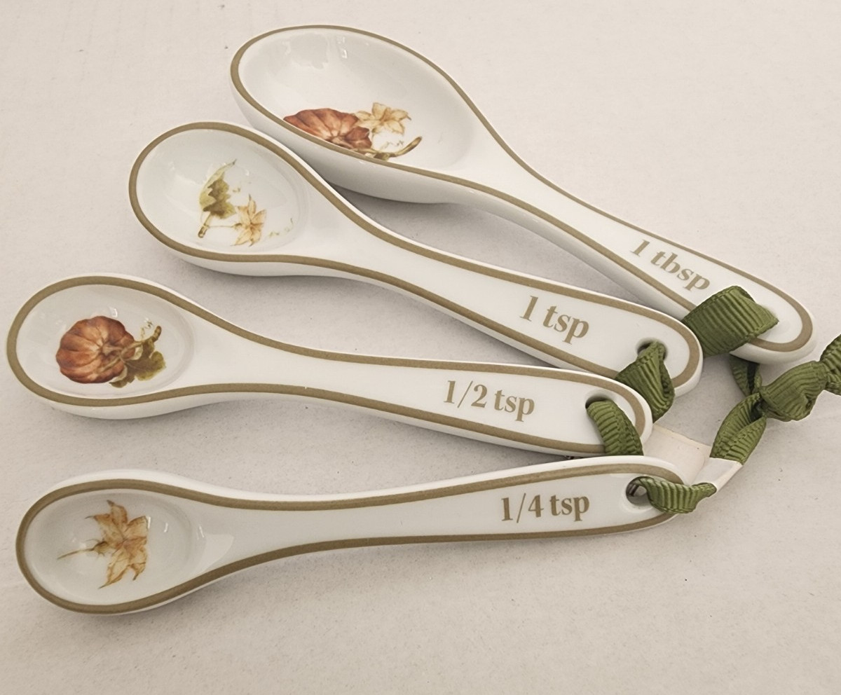 Williams Sonoma BOTANICAL PUMPKIN Porcelain Measuring Spoon Set