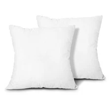 Throw Pillow Inserts, Set of 2 Lightweight Down Alternative Polyester Pillow,...
