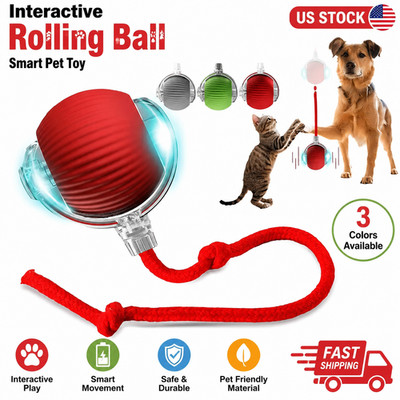 Automatic Rolling Ball Smart Cat Dog Toy Electric Pet Self-moving Kitten lot