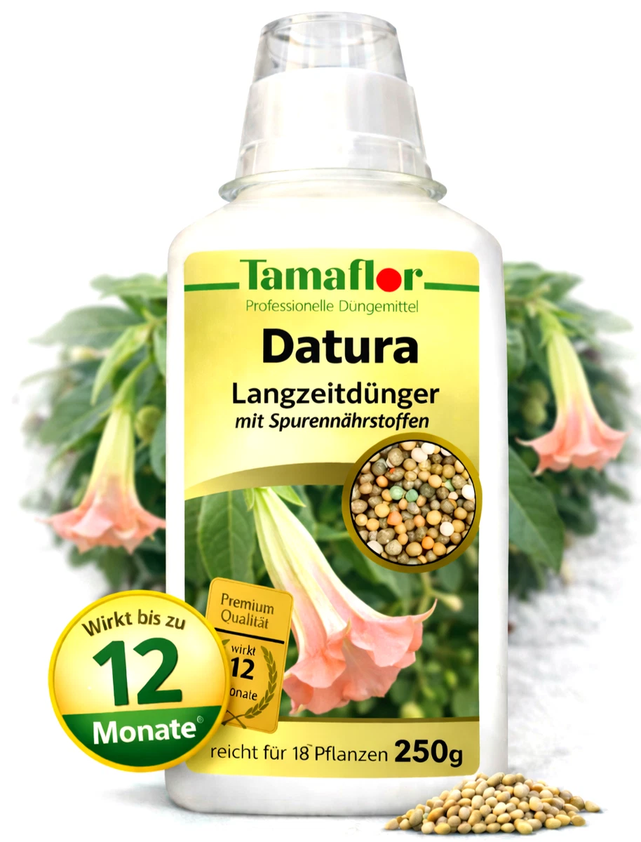 Datura online kaufen | eBay.de