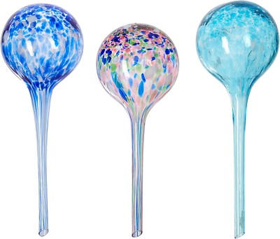 Coltivare Bulbi Vasi Di Vetro (1)   Vivaio Scariot - Foto 3