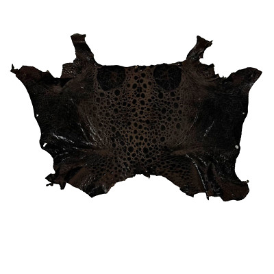 Bufo Marinus Cane Toad Skin Taxidermy Dyed Leather Glossy Espresso Brown