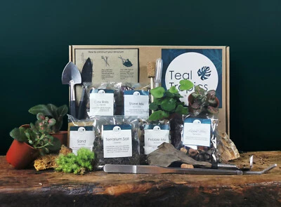 TEAL TROPICS Terrarium Tools & Substrate Kit - DIY Soil Pebbles Stones Plants Moss Gift Set