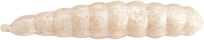 Berkley Gulp Alive Waxies White mit Lockstoff made Köder maden 10mm 1140594