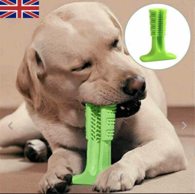 Dog Pet Toothbrush Toy Clean Teeth Brushing Stick Brush Mouth
