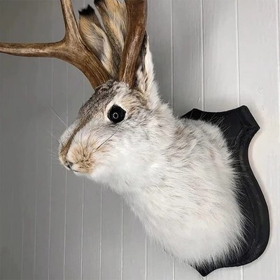 Animal Home Decoration Jackalope Statue Wall Mount Antler Rabbit Head Hang Sculp