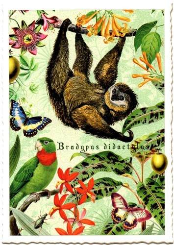 Edition Tausendschön | Postkarte A6 | Flora & Fauna | Motiv wählbar - Bild 70 von 78