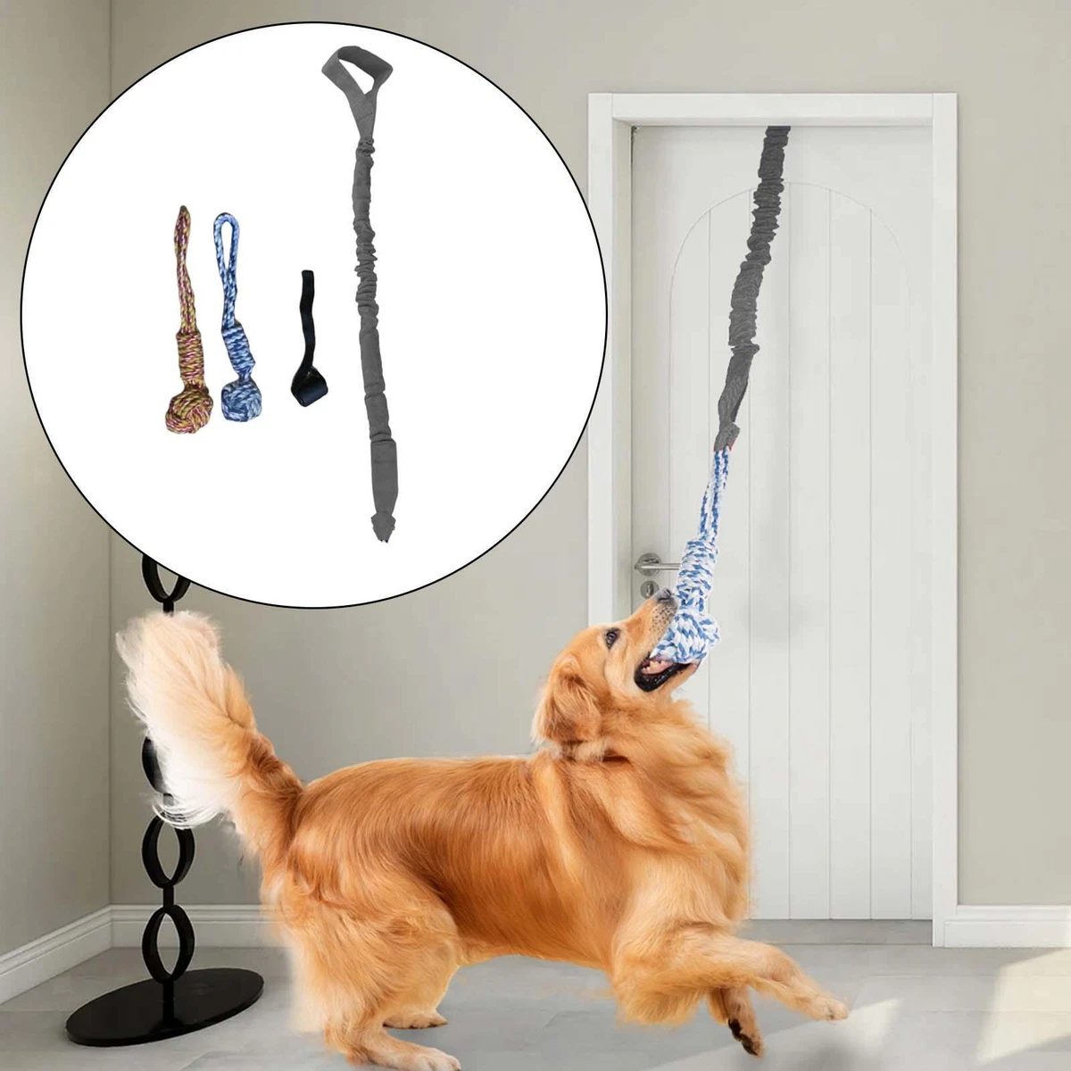 Outdoor tether for clearance dogs