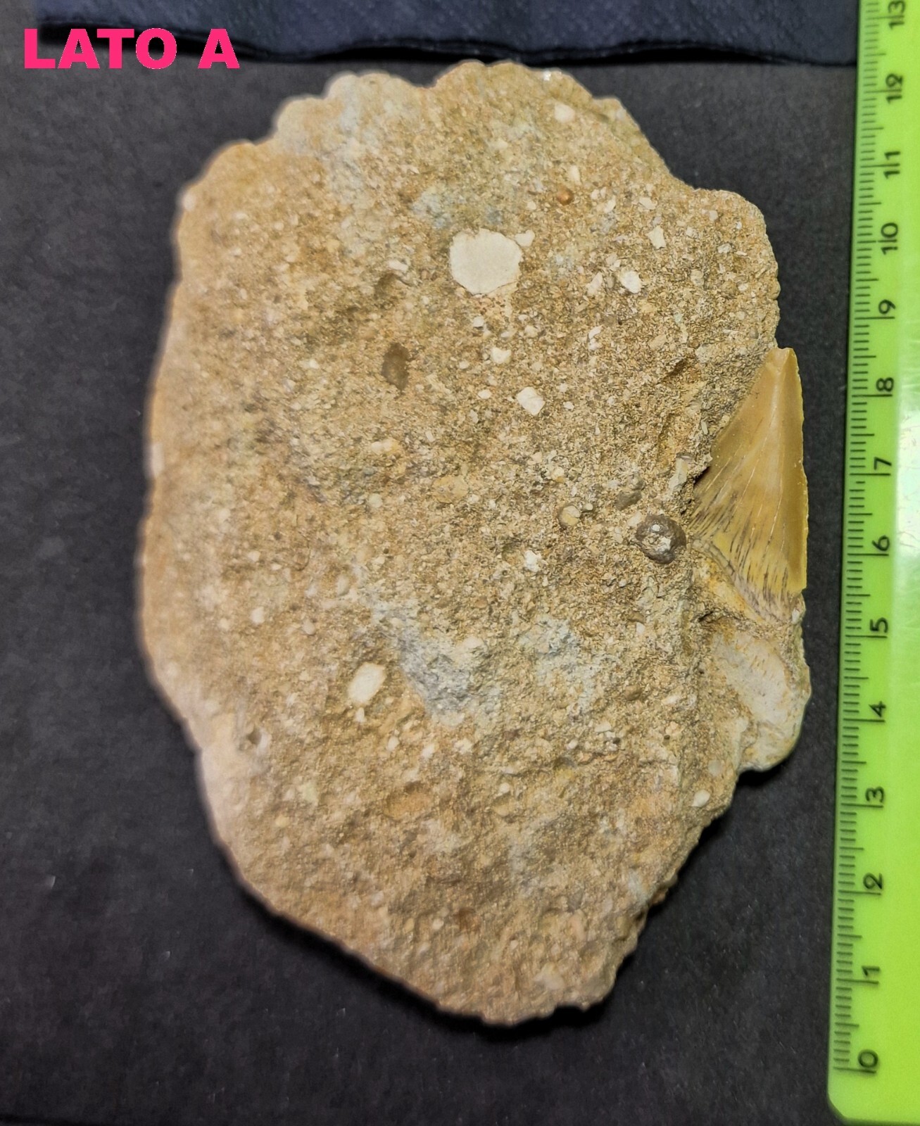 Picture 1 of 3