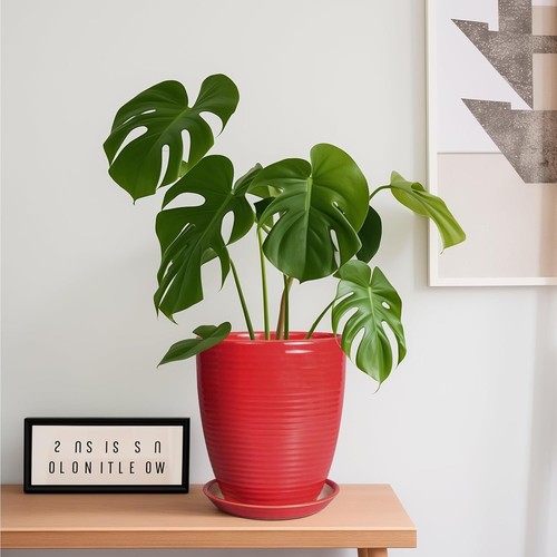 8-Inch Glossy Red Ceramic Pot with Drainage Hole for Indoor and Outdoor Plants - Picture 4 of 9