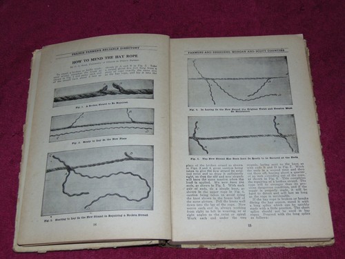 1917 "PRAIRIE FARMER'S FARMERS & BREEDERS" MORGAN & SCOTT COUNTIES, ILLINOIS - Picture 4 of 17