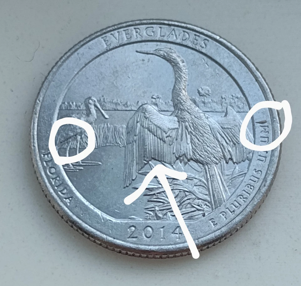 2014 Florida Everglades Error Quarter Mint Mark P - Image 4 of 4