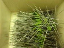 NEW Littelfuse 1/4A amp Pico Fuse Axial M251.250, Lot of 20  FREE SHIPPING 