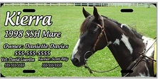 L@@K! Custom Photo License Plate or Stall Sign - From YOUR Photo!