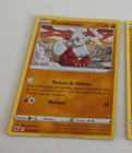 POKEMON ASTRES RADIEUX FRANCAISE CARD CARTE Caninos de Hisui 070/189 FR JCC NEUF