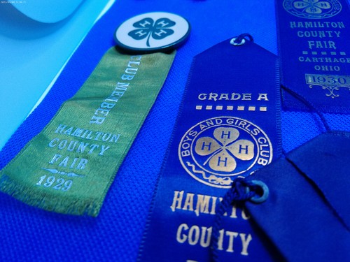Lote Fair Ribbon 15 Hamilton County Ohio 4H Boys Girls Club 1926 a 1934 - Imagen 5 de 9