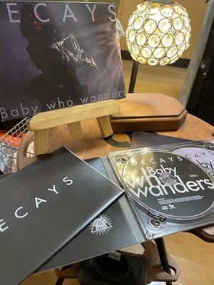 DECAYS baby who wanders CD V-kei Visual Kei Rare