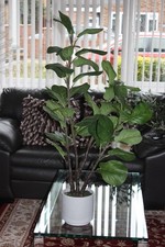 LARGE (115cm) ARTIFICIAL FIG TREE - INDOOR POT DISPLAY - LOOK