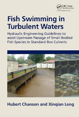 Fish Swimming in Turbulent Waters: Hydraulic Engineering Guidelines to assist