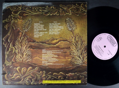 JAMES GANG Straight Shooter ROCK LP Probe – 1C 062-93306 GERMAN