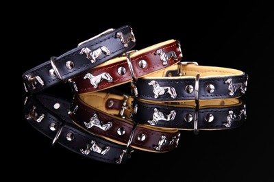 Motiv Halsband Dackel Dachshund Teckel Lederhalsband Leine Hund Dog