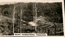 Cigarette Card WD & HO Wills New Zealand # 2 Bush Homestead Taranaki