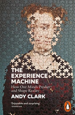 The Experience Machine | Andy Clark | How Our Minds Predict and Shape Reality