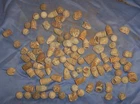 100 DUG CIVIL WAR BULLETS & MUSKET BALLS MANASSAS VIRGINIA Hammond Collection