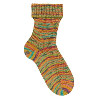 Opal Sock Yarn Lieblingsplatz, superwash 4-ply 100g/465yd  #11461