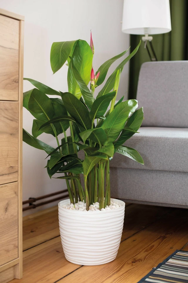 Übertopf Wellen Slim Rund Blumentopf 3D Effekt 3 Farben 7 Größen - Bild 3 von 4