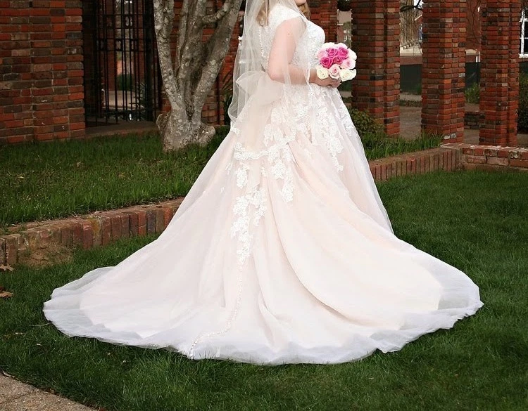 Allure Bridals 9272 蕾丝婚纱粉色色调薄纱带珠宝腰带 — 第 2/4 张图片