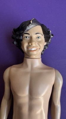 Harry Styles 1D One Direction 2011 Collector Figure Doll 12'' Tall No Clothes