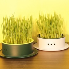 2 Pcs Cat Grass Planter Hydroponic Plastic Catnip Plant Box Cup for Pet Use