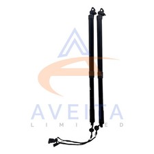 Coppia Puntoni Portellone Posteriore Citroen C4 Grand Picasso 2015 MK2 9812130080 9812130180