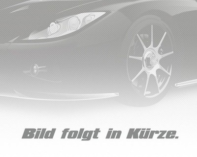 Befestigung Clip Clips für Chrysler 300C LX Touring LE 300M LR ab 05-> 4806334AA