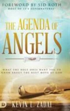 The Agenda of Angels: What the Holy Ones Want You to Know About the Next Move...