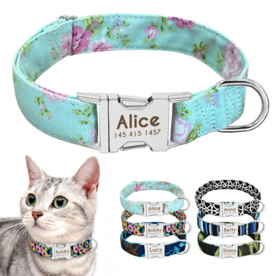 kitten identification collars