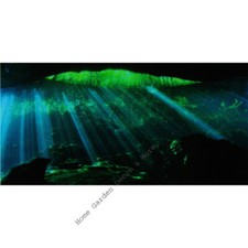 TOP FIN UNDERWATER CAVE Aquarium Background Static Cling Film 18"x36"