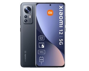 12 8+256GB GRAY (Display eingebrannt)