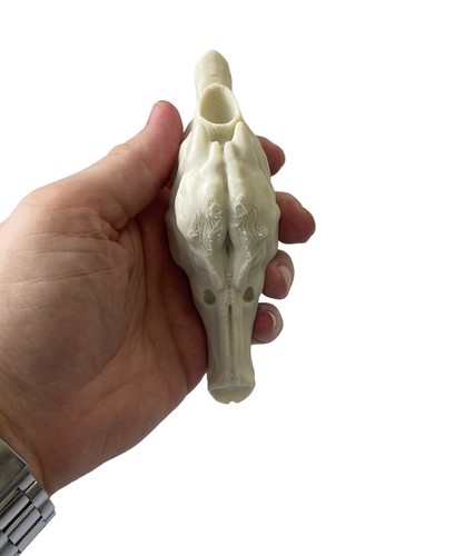 Jurassic Park Velociraptor Resonating Chamber - 3D Printed Replica Prop Lifesize - Picture 4 of 5